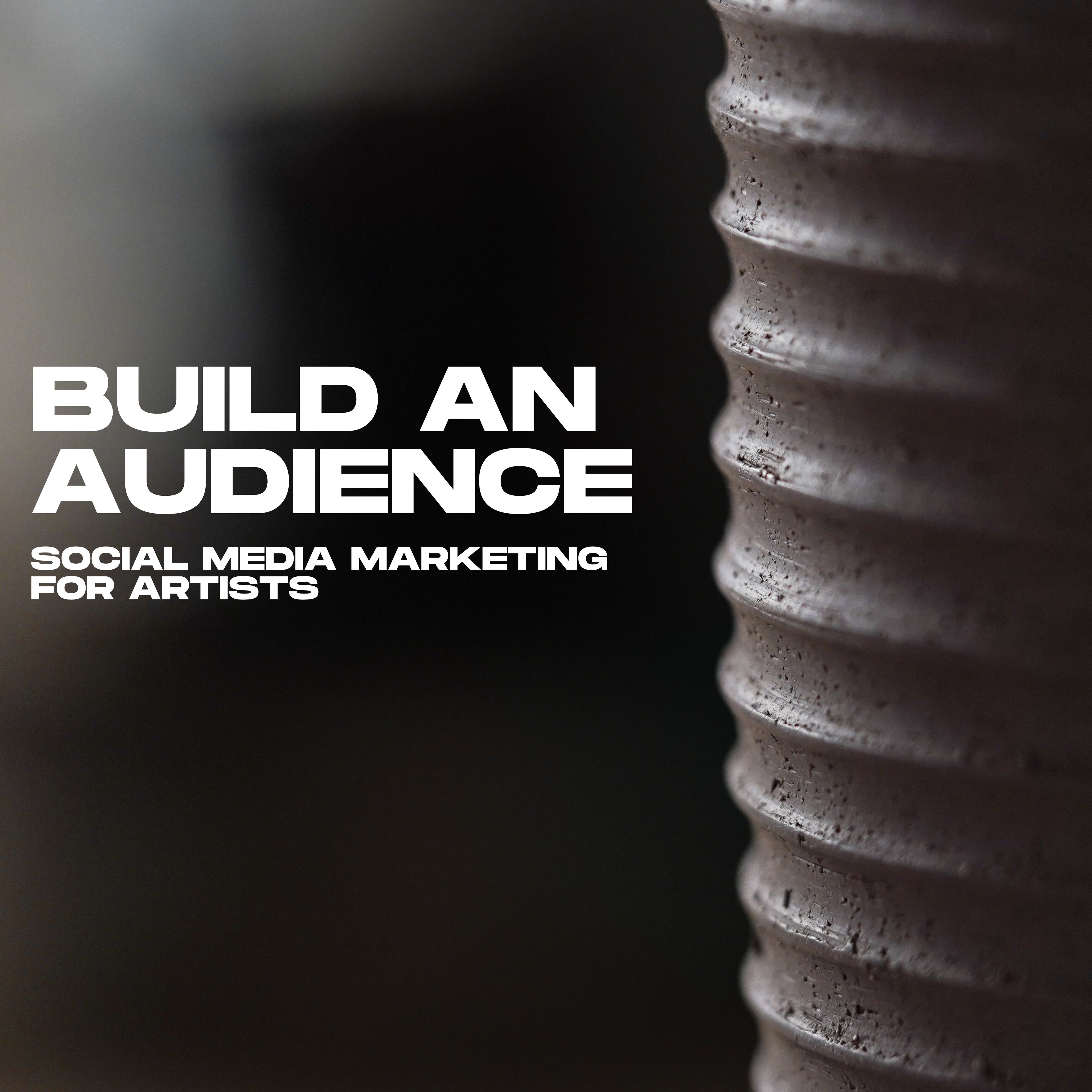 Build an Audience — Live Social Media Workshop for Artists
